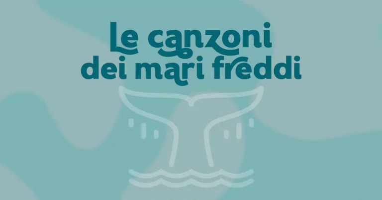 Copertina del ciclo "Le canzoni dei mari freddi" di Radio 3 Rai